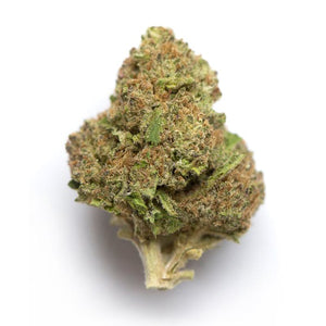 Slimer OG